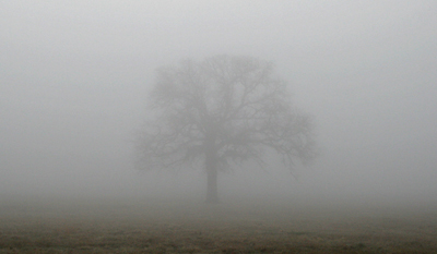 We had a picture to go with the film, but it was just too intense...