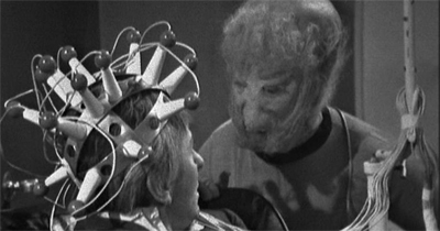 "Now which one of us looks stupid?"