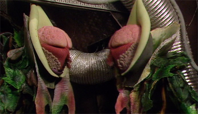 An undergrowth movement...