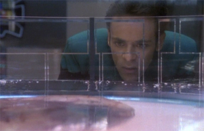 A growing curiousity...