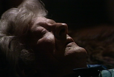 It has been prepared for...