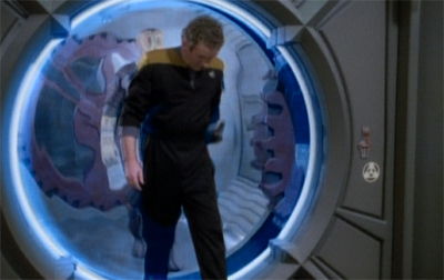 A visitor out of the blue...