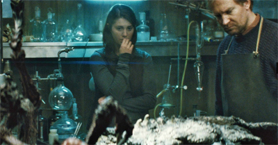 Opening up to new possibilities...