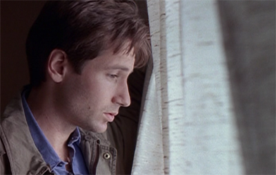 The inside, looking out...