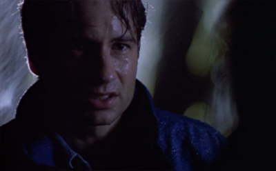 Weathering the storm...