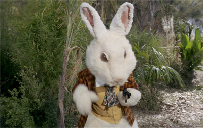 No bunny business...