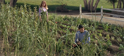 Never too far afield...