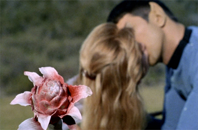 A rose, by any other name...