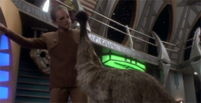 If wishes were emus...