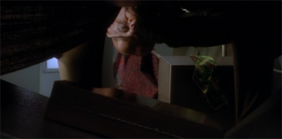 Quark's made his bed...