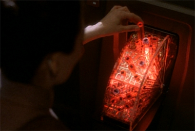 Spare the rod, spoil the puppy...