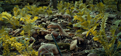 It's growing on me...