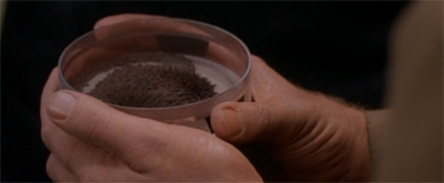 Odo's people are the salt of the earth...