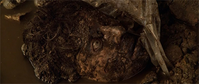 Digging up the past...