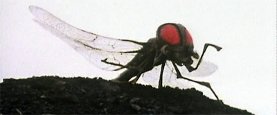 It doesn't bug me too much...