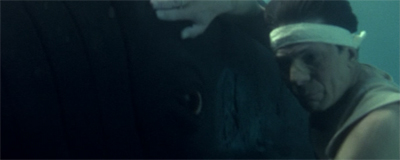 Saving the whales...