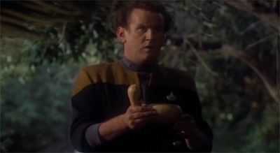 The moral compass...