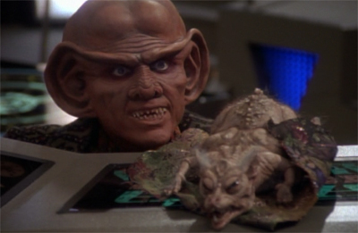 Quark smells a rat... er... I mean vole...