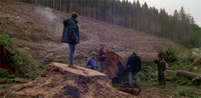 If a tree falls in the woods...