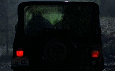 I hate it when bugs get into the car...