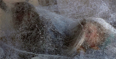 I hope they don't mind cobwebs...