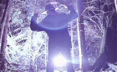 Shedding some light on the matter...