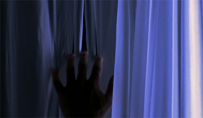 No claws for concern...