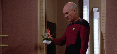 His order, to a tea...