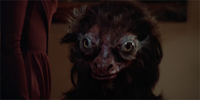 (E)Wok the hell is going on?