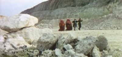 Tracking their quarry...