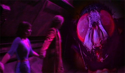 Some bugs in the system...