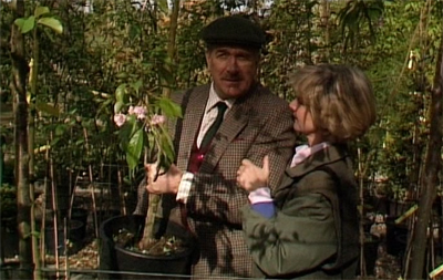 Putting down roots...