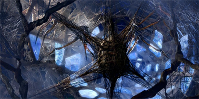 Talk about a web of deceit...