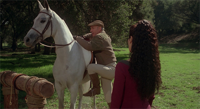 Back in the saddle...