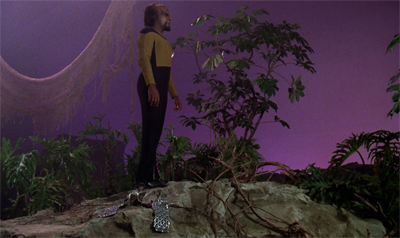 Worf! Put your sash on! You look positively indecent!