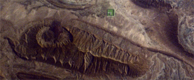 Looks like they nuked the site from orbit. It was the only way to be sure...