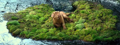 The grass is always greener...