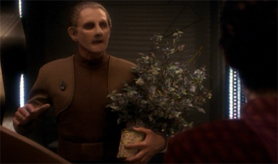 Odo is not one for flower-y expressions...