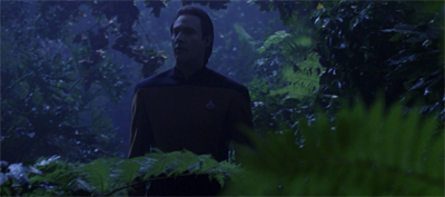 It's a jungle down there...