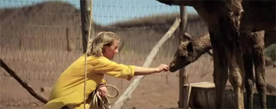 The calves and calves nots...