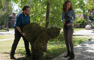 Beating around the bush...