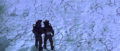 They're cracking up out there...