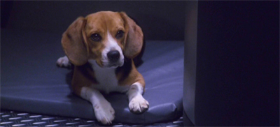It took dogged determination to get the episode to screen...