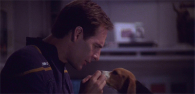 A dogged explorer...