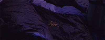 Oh, so THAT's what happened to the aliens from Conspiracy...