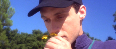 Stopping to smell the poppies...