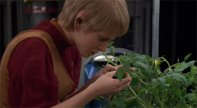 Turning over a new leaf...