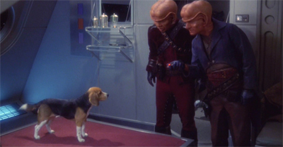 "Take us to your leader."