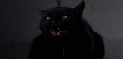 They didn't break the kitty on this one...