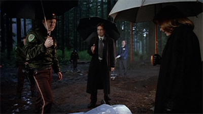 If you go down to the woods today...